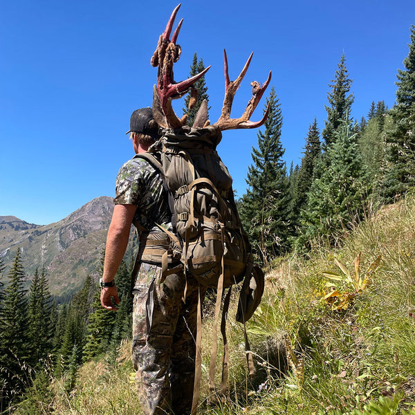 Kaibab 150 Merino Wool Short Sleeve